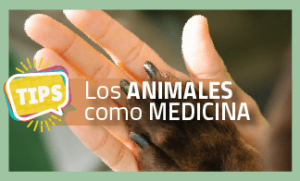 Salud mental, los animales como medicina