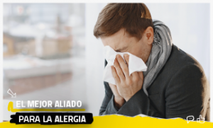 El mejor aliado para la alergia