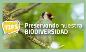 Preservando Nuestra Biodiversidad