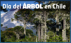 Dia del Árbol en Chile