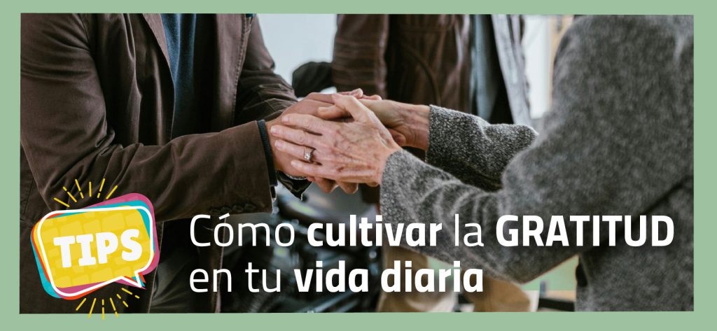 Cómo cultivar la gratitud en tu vida diaria - blog.prisa.cl