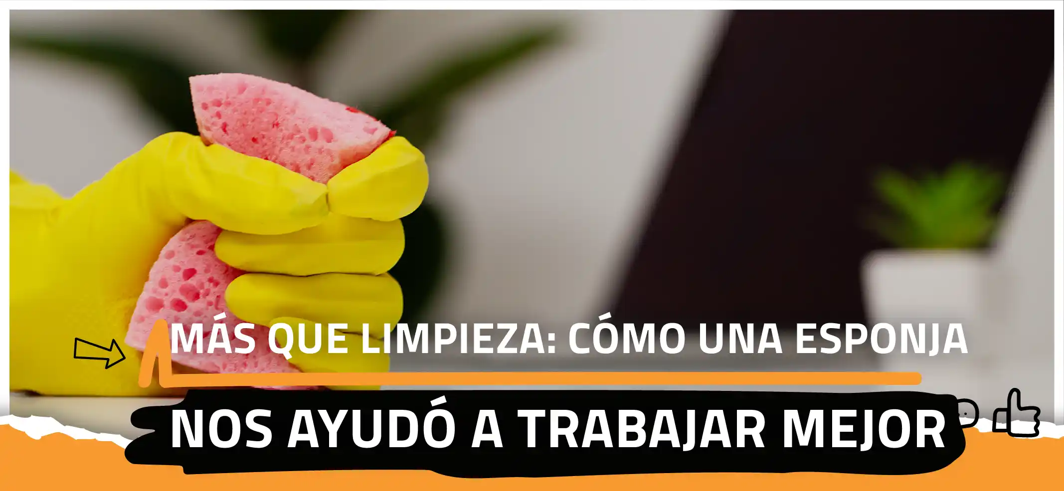Mirame_ARTÍCULO - 768X354 PX