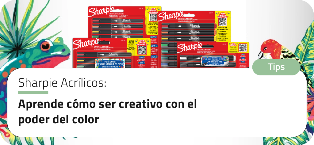 TEMPLATE-BLOG_2025_TIPS-1024X473 PX