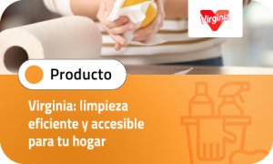 Virginia: limpieza eficiente y accesible para tu hogar