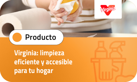 Virginia: limpieza eficiente y accesible para tu hogar