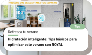 Hidratación inteligente: Tips básicos para optimizar este verano con ROYAL
