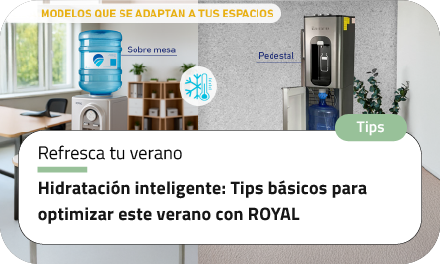 Hidratación inteligente: Tips básicos para optimizar este verano con ROYAL