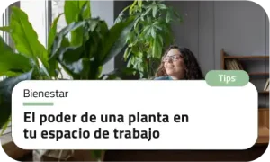 El poder de una planta en tu espacio de trabajo