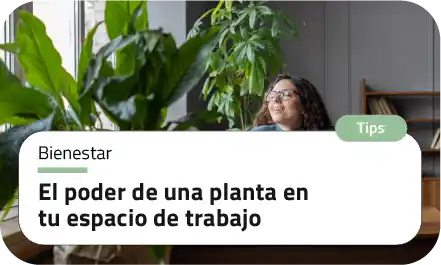 El poder de una planta en tu espacio de trabajo