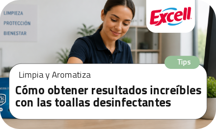EXCELL: Cómo obtener resultados increíbles con las toallas desinfectantes